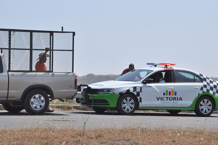 Avanza en Comisiones Ley de Igualdad de Género