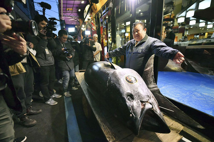 Venden atún aleta azul en 3 millones de dólares en Tokio