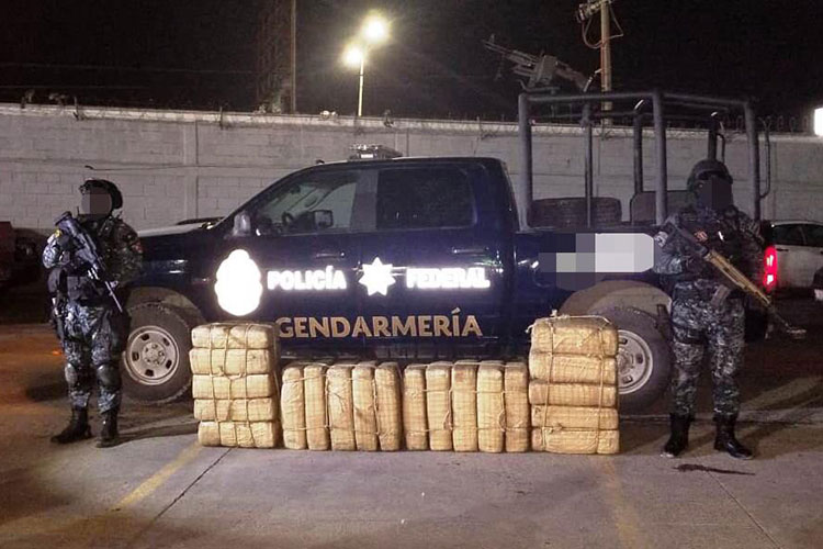 Asegura Federal 100 kilos de droga