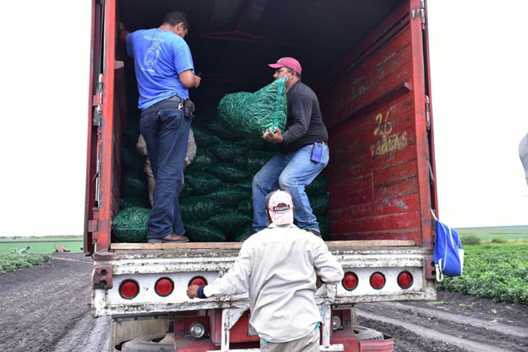 El Gobierno fortalece sus lazos con horticultores del sur