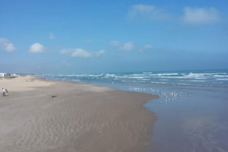 Descartan que se registre un tsunami en el Golfo de México