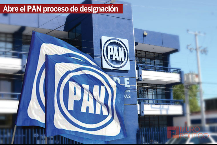 Aspirantes deben renunciar el 28