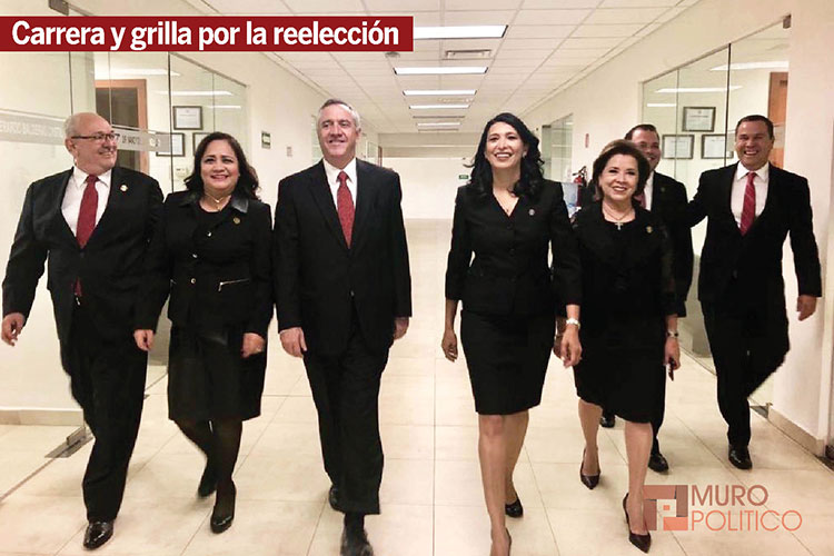 Marcia Garza entre 15 finalistas a Magistrada Federal