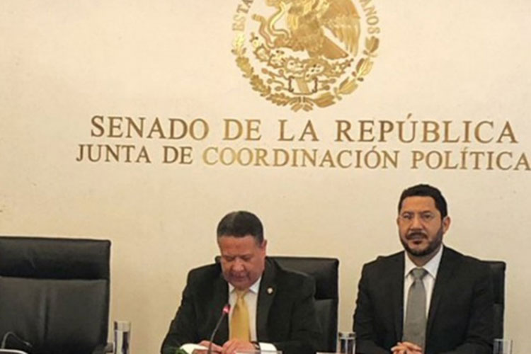 Ahorro en Senado va para programas sociales y Tren Maya