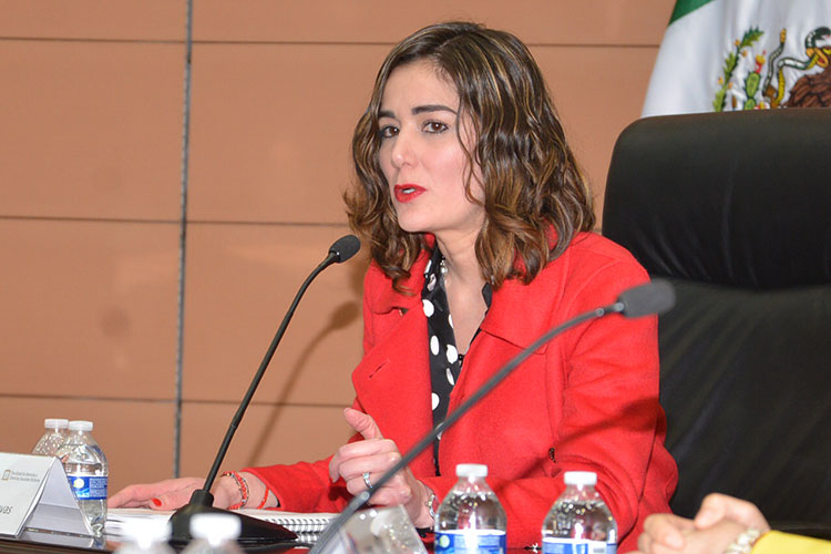 Paridad avanza en Tamaulipas: Ravel