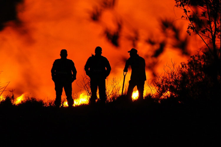 Incendio en Parque Ecológico de Xochimilco afectó a 40 hectáreas