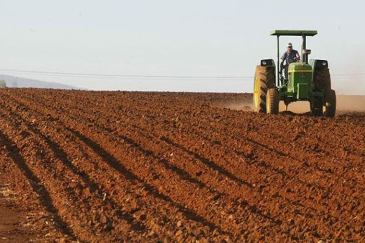 Dejan fuera 960 mil hectáreas de Procampo en Tamaulipas