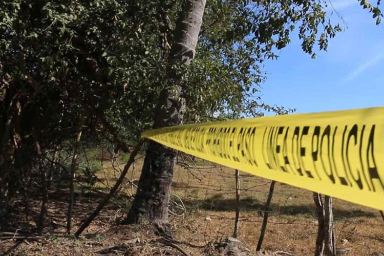 Fiscalía de Colima confirma hallazgo de 69 cuerpos en fosas clandestinas