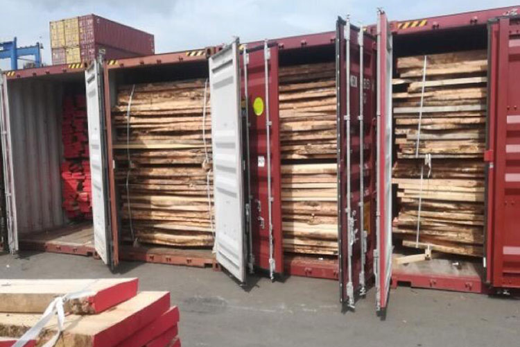 Frena PROFEPA ingreso de 149 mil m3 de madera de Croacia