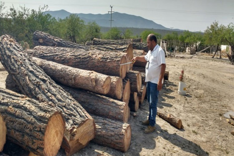 Clausuran centro de materias primas forestales