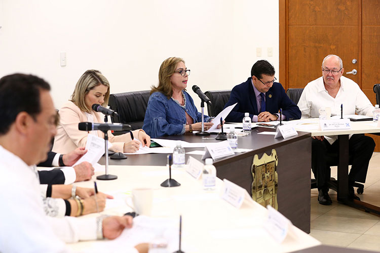 Ganó la apatía, serán 9 Consejeros de Búsqueda