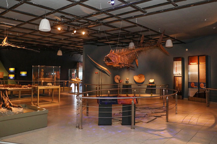 Donará ITCA al Museo de NLD una réplica de ave prehistórica