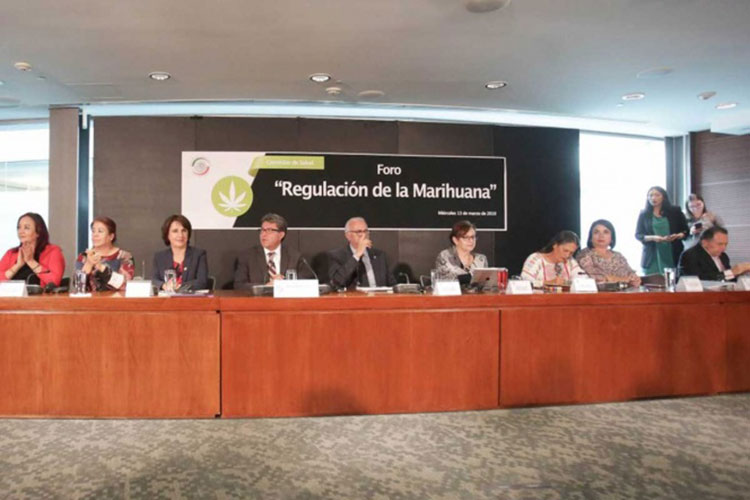 Senado abre proceso para despenalizar la mariguana