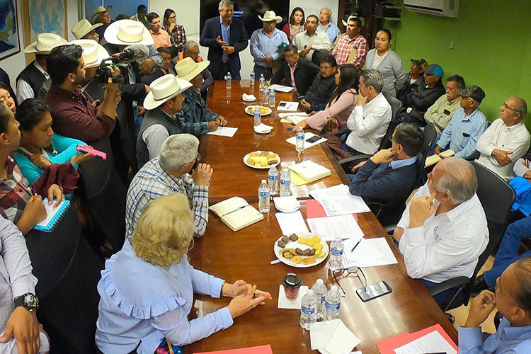 Considera Diputada de Morena eliminar horario de verano