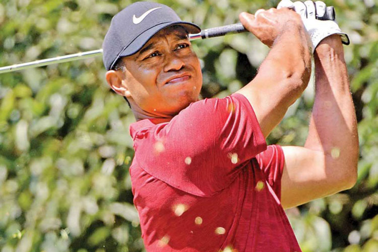 Tiger Woods se toma un descanso