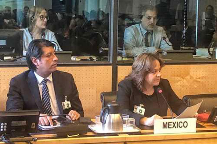 Denuncias por tortura van a la baja, asegura México en Ginebra