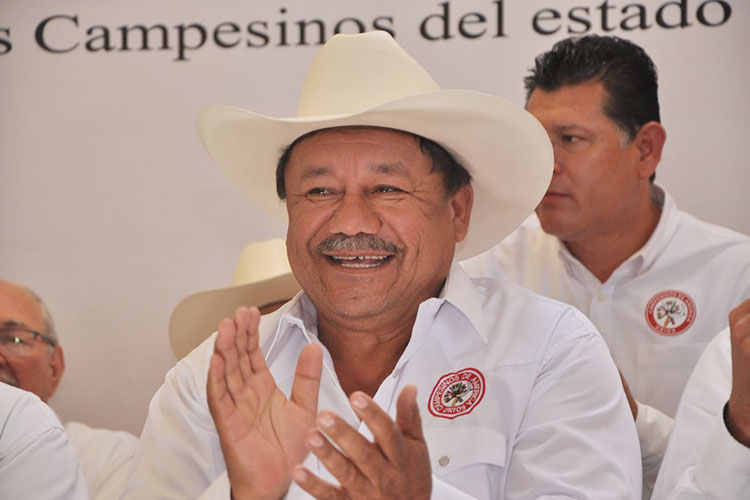 Termina plazo para Registro de Observadores Electorales