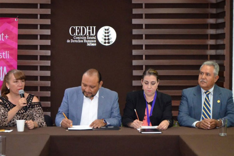 Derechos Humanos acuerda agenda común con 11 organizaciones civiles