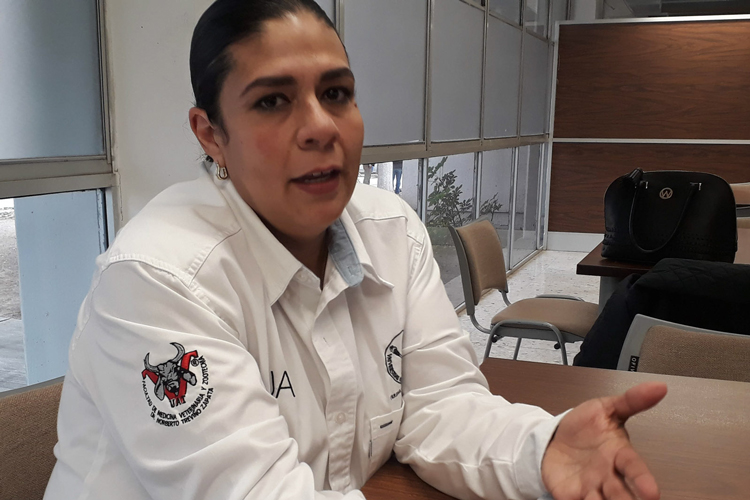 Estudian potencial de la damiana para forraje y uso veterinario