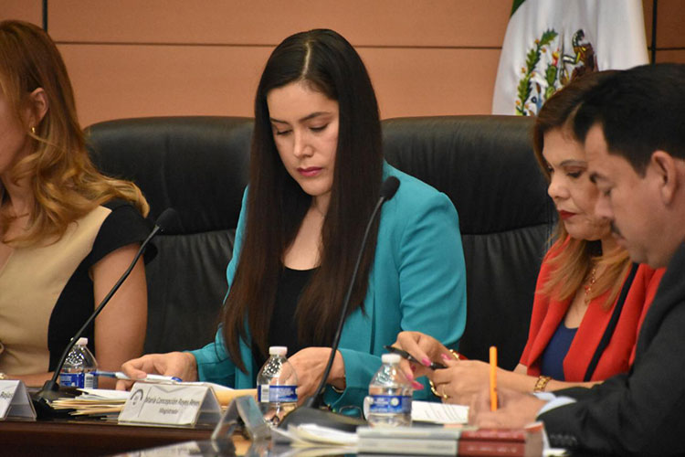 Decidirá Trieltam legalidad de Pluris en Morena