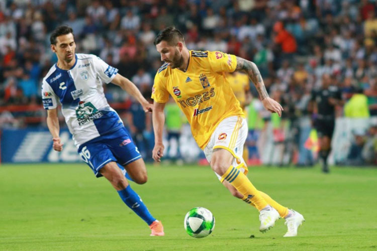 Tuzos y Tigres definirán su destino en el Volcán