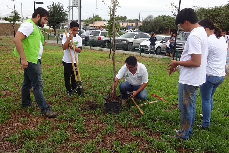 Preparan eventos para celebrar Día Mundial del Medio Ambiente