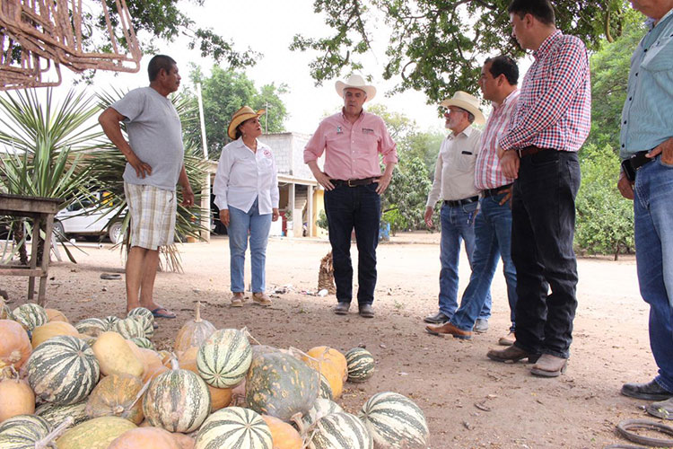 Requiere Tamaulipas reactivar el campo: Etienne
