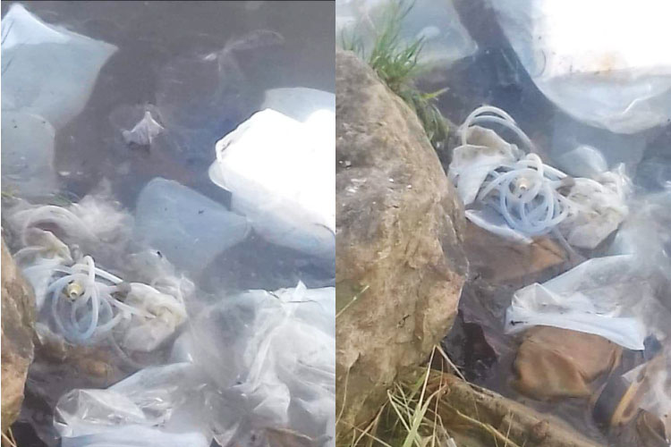Arrojan bolsas de diálisis al Río Pánuco