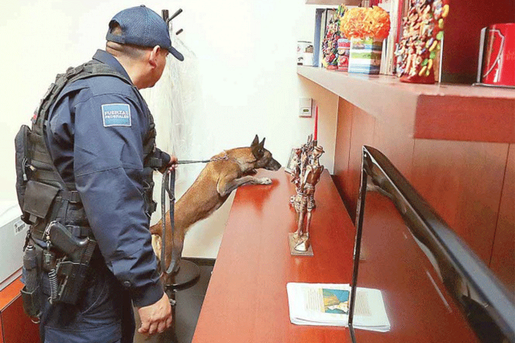 Libro bomba burló seguridad de 70 mdp