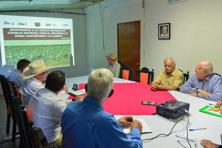Presentan forraje ‘supersorgo’ como una alternativa para alimentar bovinos