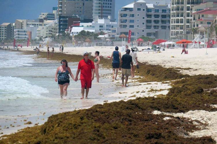 Tendrá Cancún cumbre mundial para atender el sargazo