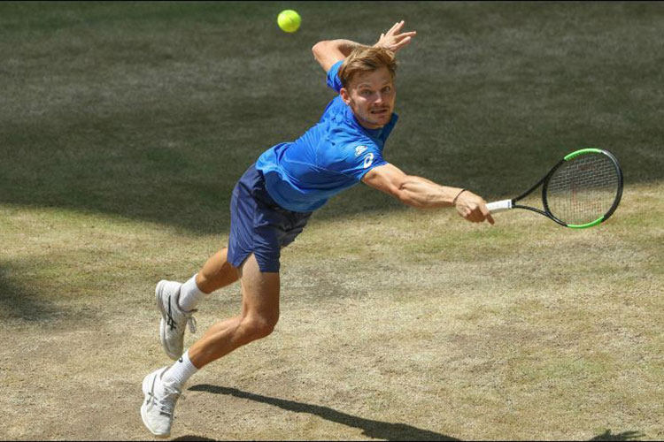 Goffin y Federer disputarán la final de Halle