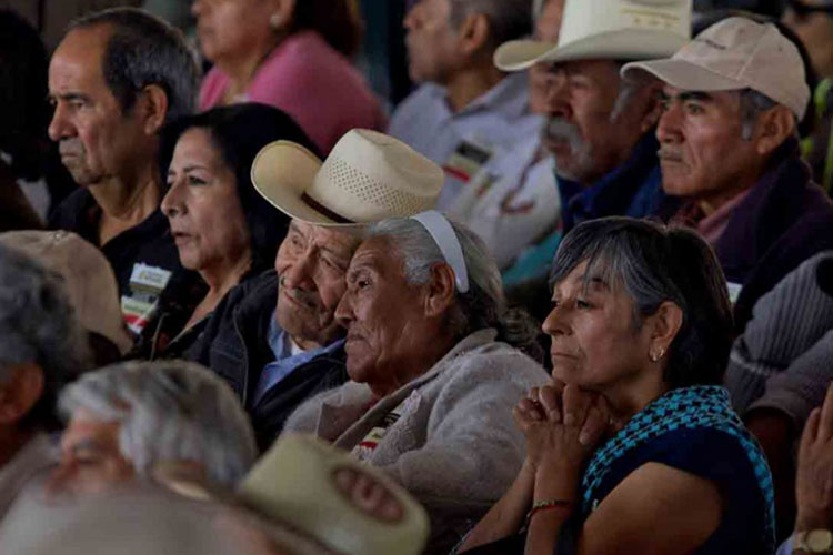 Fraude deja sin pensión a cientos de jubilados