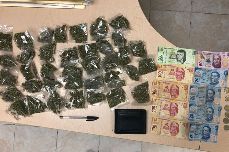 Decomisan lana y marihuana
