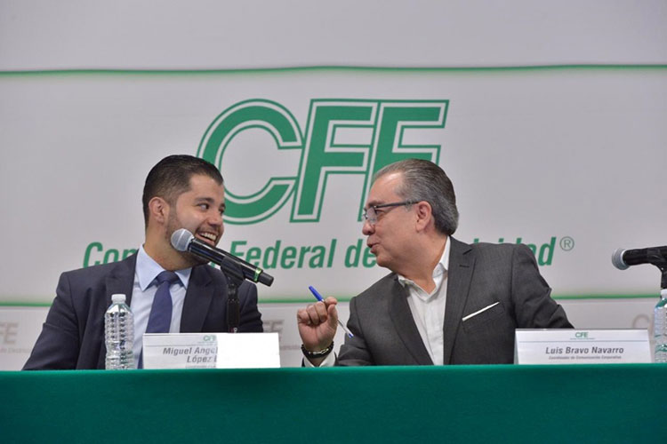 Empresa que dirige Raúl Salinas se lleva licitación de CFE para medidores