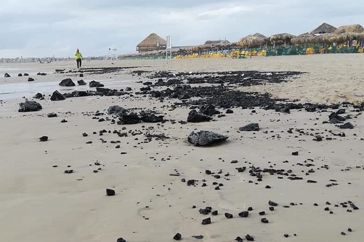 Siete toneladas de chapopote han recolectado de playa Miramar