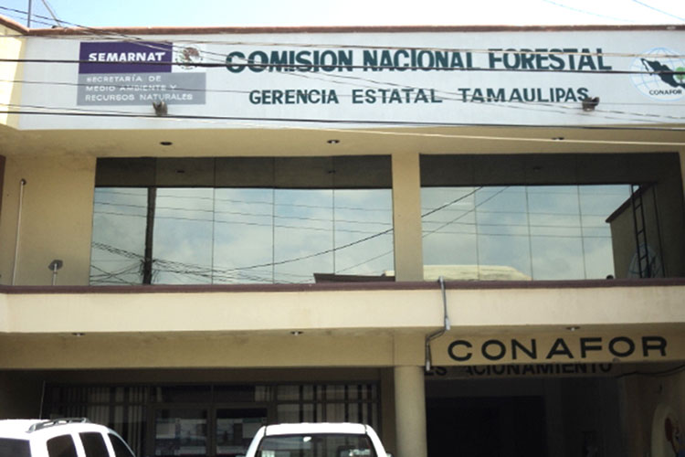 Desmantela Gobierno Federal CONAFOR en Tamaulipas