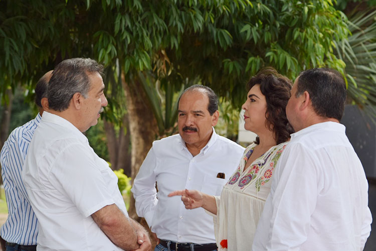 Morena va resurgir en Tamaulipas, asegura Rojas