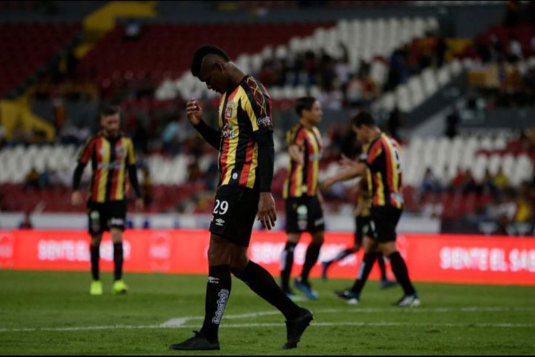 Ven a unos Leones Negros protagonistas