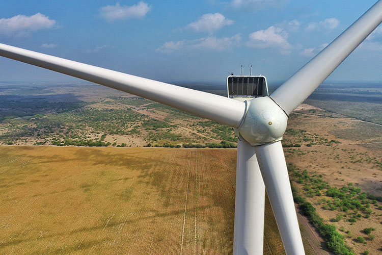 Se construirán 2 nuevos parques eólicos en Tamaulipas