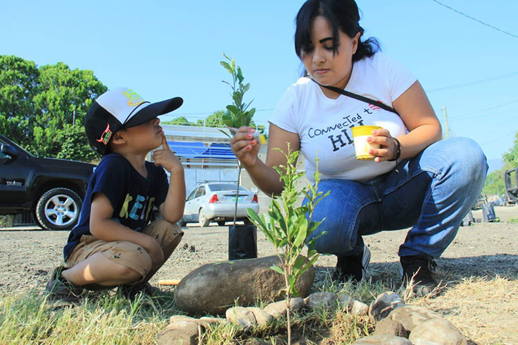 Conmemoran “Día Nacional del Árbol” con campaña de reforestación