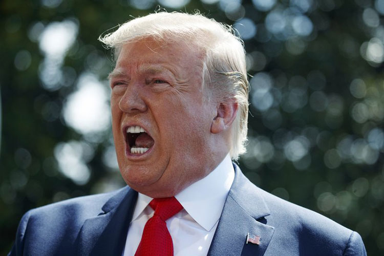 Trump pondera orden ejecutiva para pregunta de ciudadanía