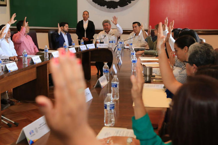 A consulta pública Reglamento Municipal de Residuos Sólidos