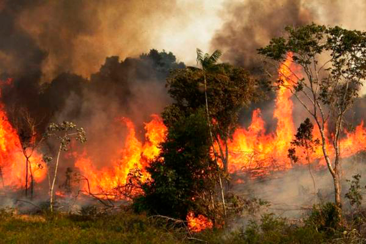 Bolsonaro niega haber acusado a ONG de incendiar la selva
