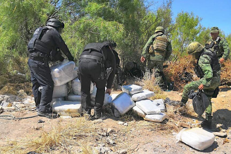Aseguran 250 kilos de drogas en Nuevo Laredo