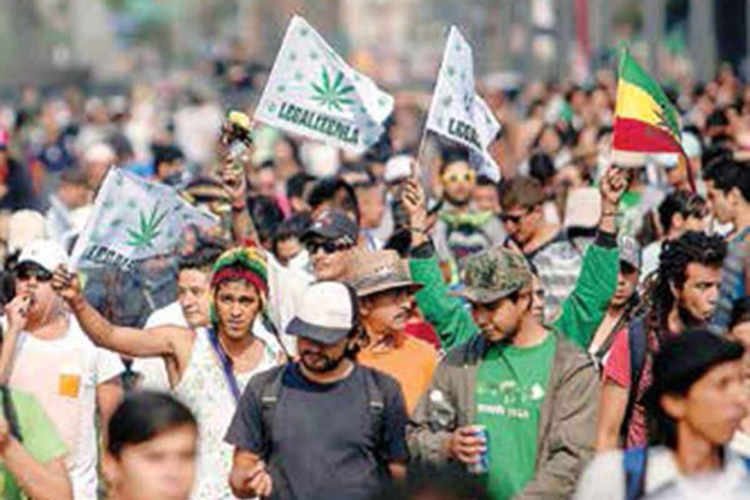 El Senado invita a foro multitudinario; abre 648 espacios
