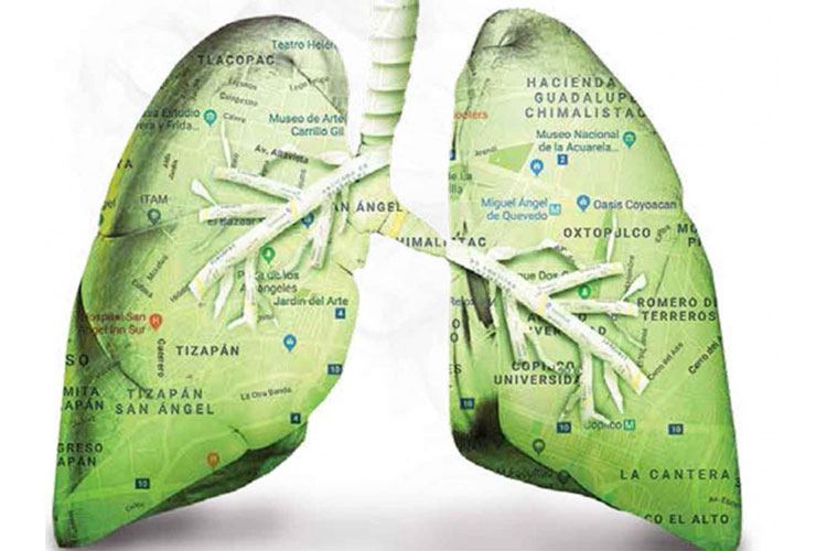 Al año suman 2,864 muertes por PM2.5 según estudio del ITDP