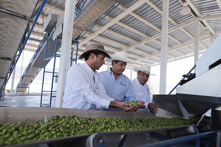 Ofrece gobierno de Tamaulipas respaldo a inversionistas.