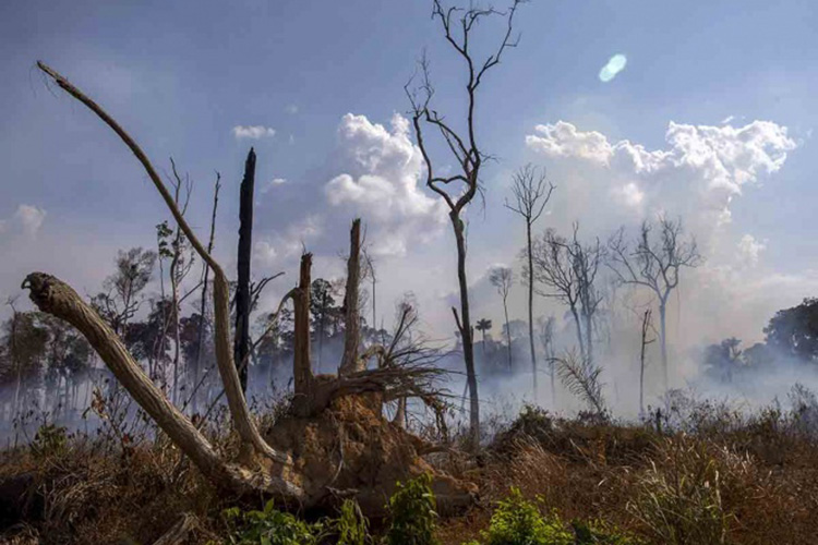 Chile manda más aviones para combatir incendios en el Amazonas
