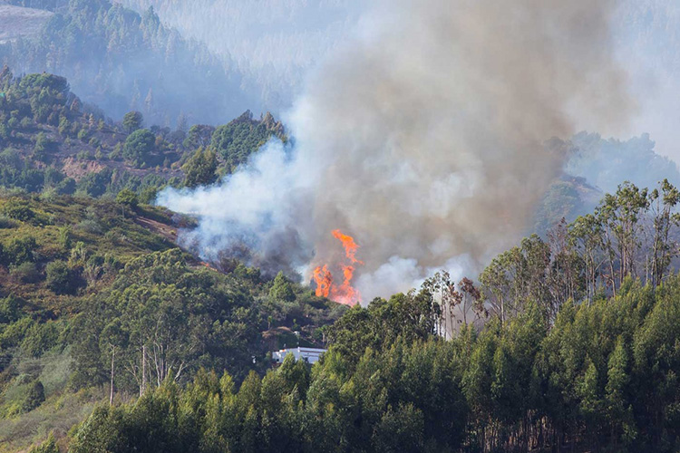 Emergencia en Islas Canarias por incendio; hay 9 mil evacuados